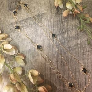 🐾🐾🐾🐾🐾🐾🐾🐾